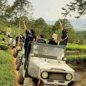 gayatri mountain adventure camp puncak bogor